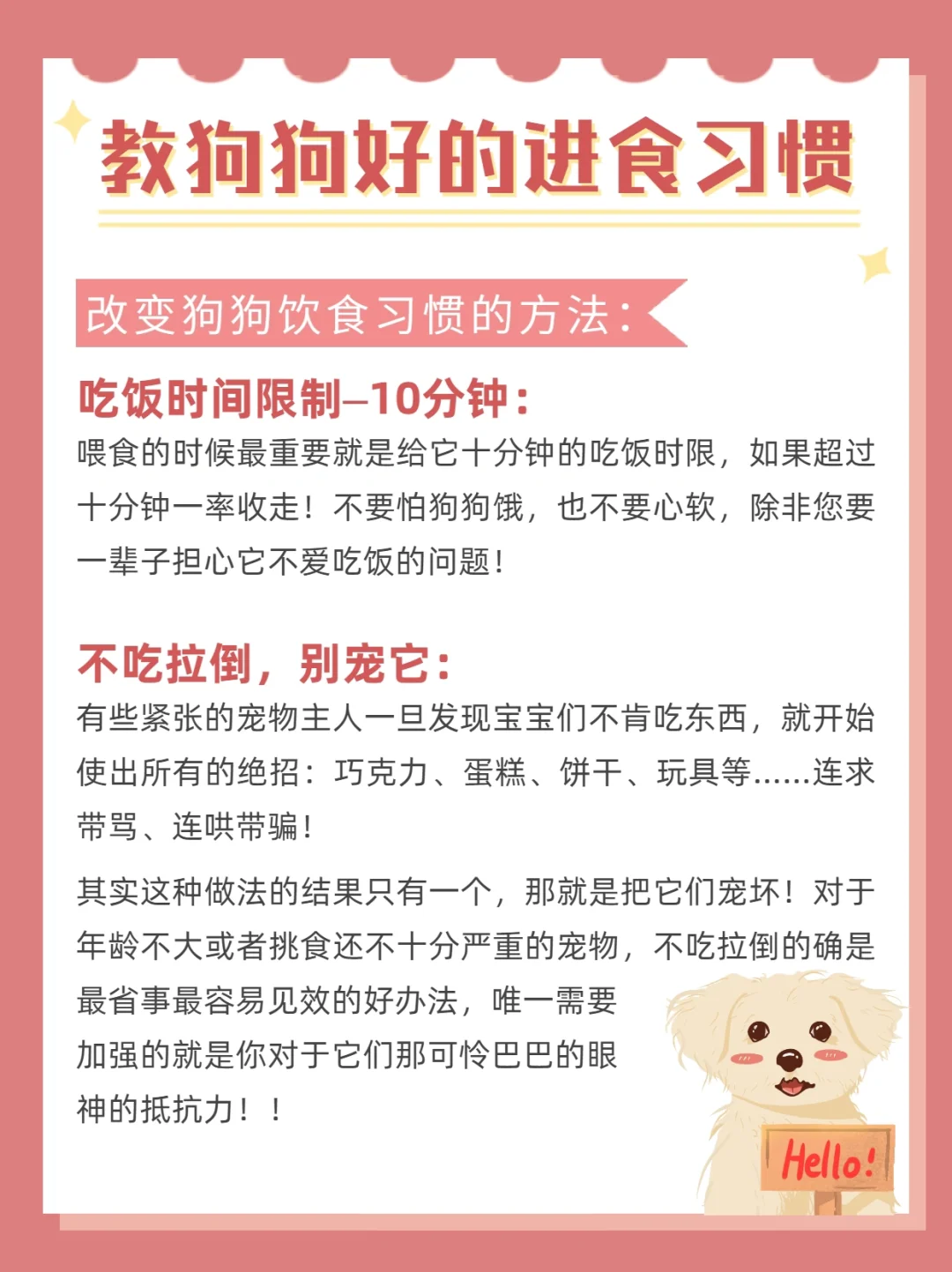 宠物等级超限相关测试