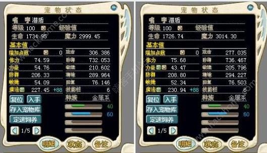 魔力宝贝格斗大师最佳加点
