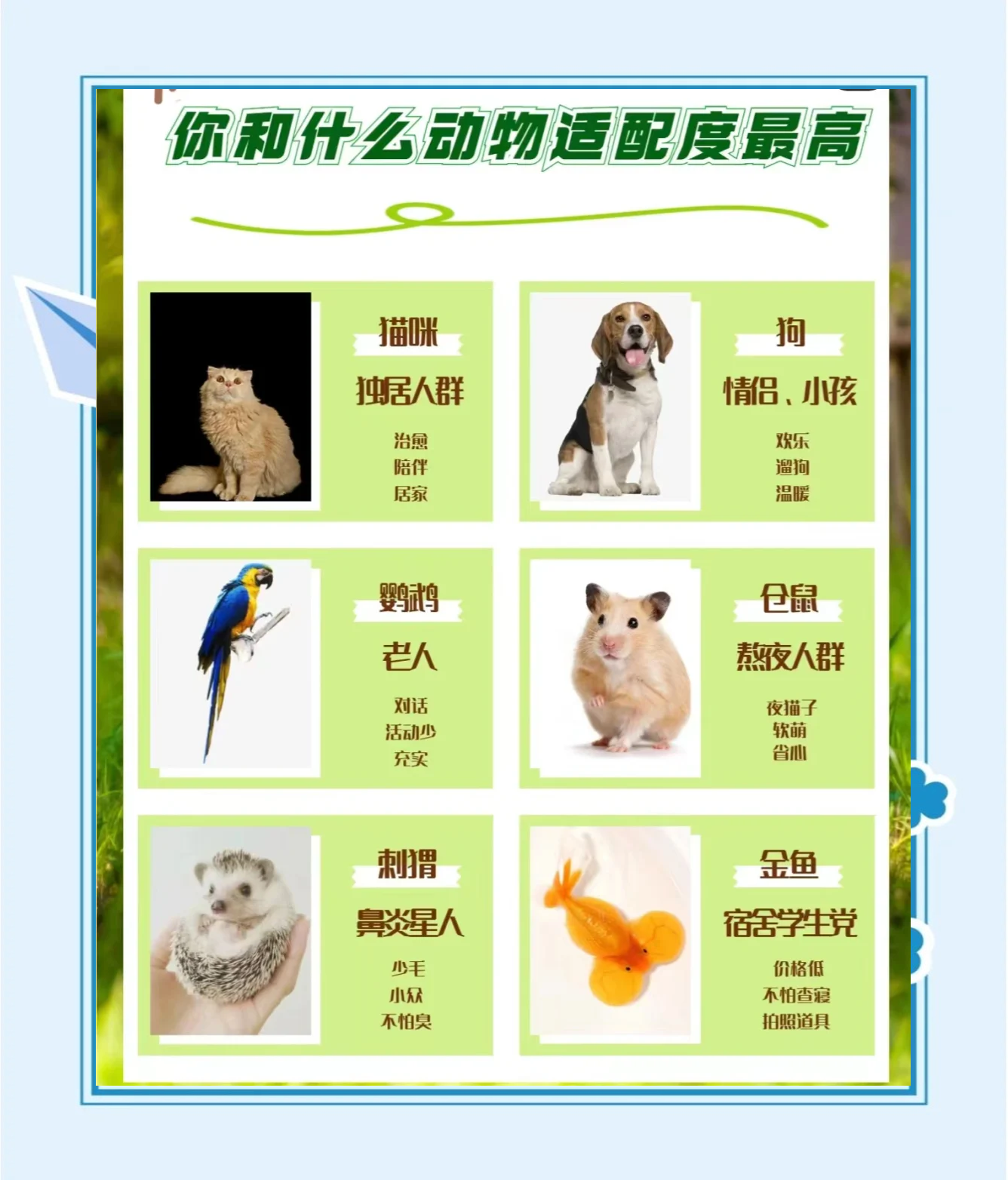 宠物训练师养成计划，培养顶尖宠物​