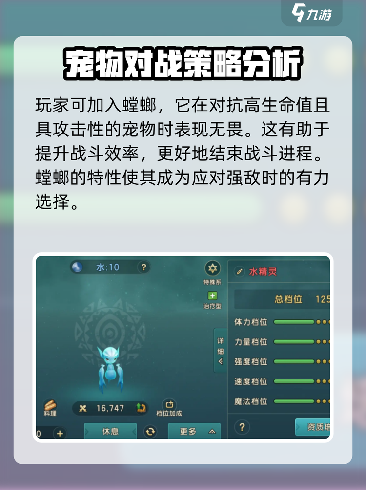 魔力宝贝新手必备宠物推荐，超实用选择