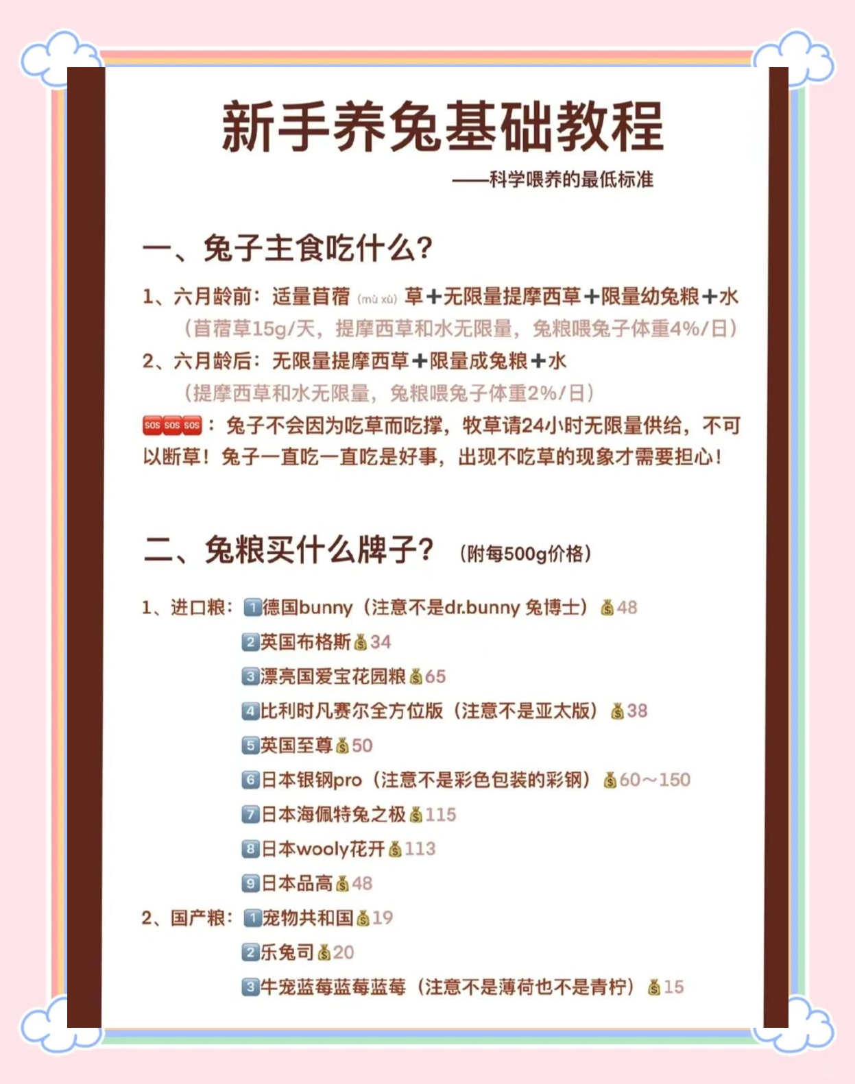 宠物忠诚度培养秘籍，让你的萌宠不离不弃​
